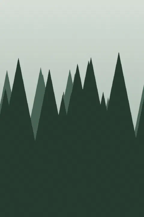 Dark spruce silhouettes in layers of fog